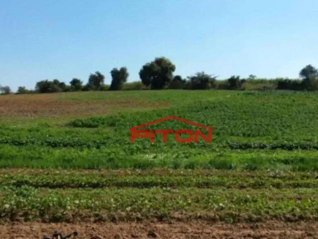 Terreno / Lote para Venda em Cosmópolis/SP Centro