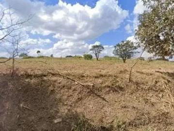 Terreno / Lote para Venda em Cosmópolis/SP Área Rural de Cosmópolis