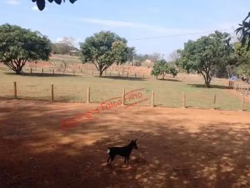 Terreno / Lote para Venda em Cosmópolis/SP Santo Antônio