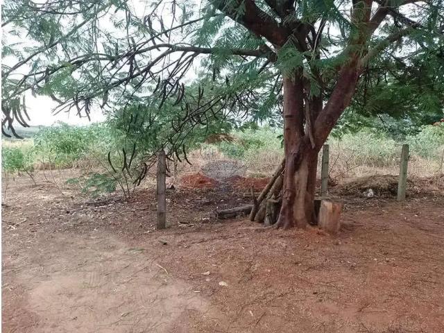 Terreno / Lote para Venda em Cosmópolis/SP Parque das Laranjeiras II