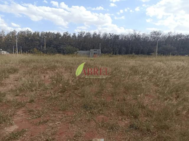 Terreno / Lote para Venda em Cosmorama/SP Centro