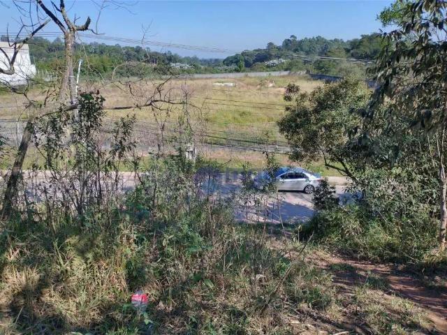 Terreno / Lote para Venda em Cotia/SP Moinho Velho