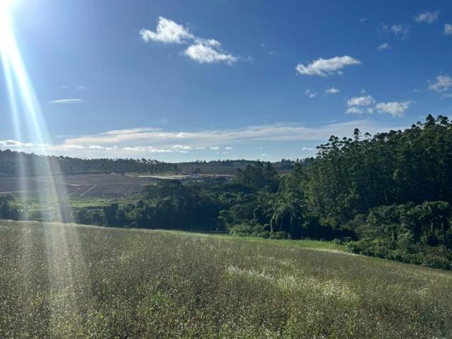 Terreno / Lote para Venda em Cotia/SP Água Espraiada Caucaia do Alto