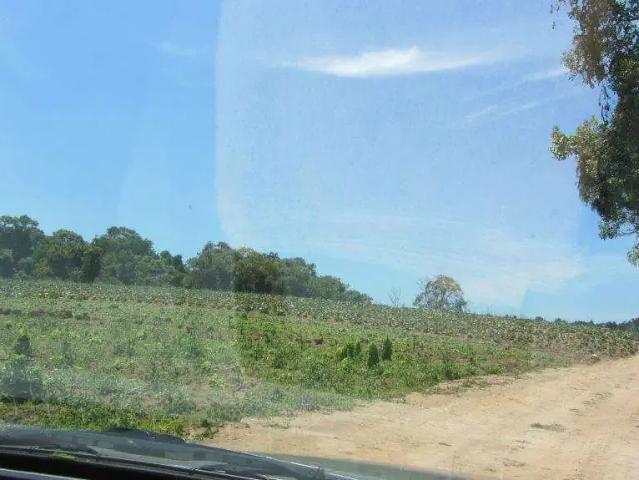 Terreno / Lote para Venda em Cotia/SP Água Espraiada Caucaia do Alto
