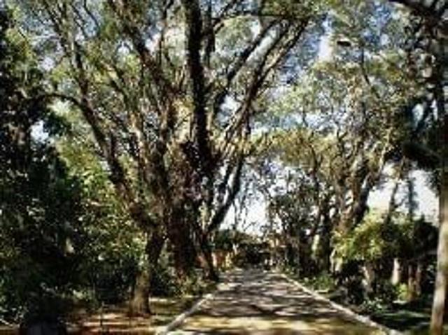 Terreno / Lote para Venda em Cotia/SP Bosque do Vianna