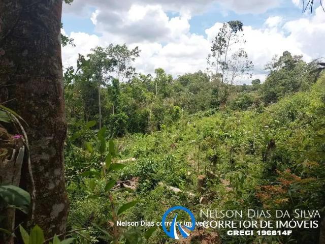 Terreno / Lote para Venda em Cotia/SP Caputera