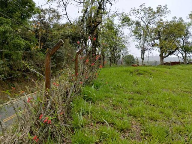 Terreno / Lote para Venda em Cotia/SP Caputera