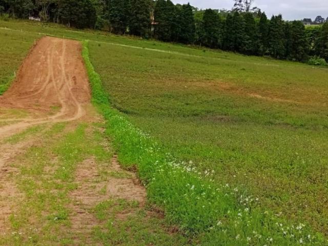 Terreno / Lote para Venda em Cotia/SP Centro Caucaia do Alto