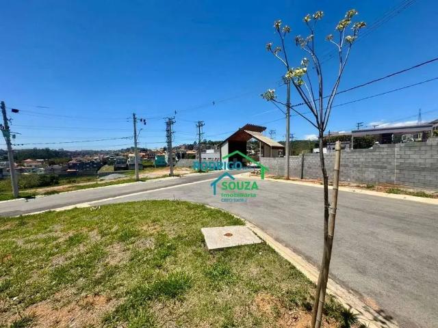Terreno / Lote para Venda em Cotia/SP Chácara Roselândia