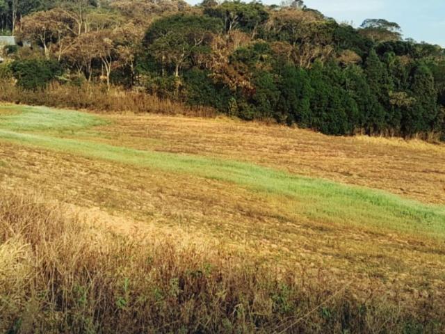 Terreno / Lote para Venda em Cotia/SP Chácara Tropical Caucaia do Alto