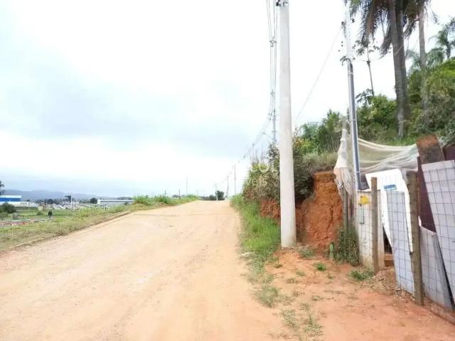 Terreno / Lote para Venda em Cotia/SP Chácara Tropical Caucaia do Alto