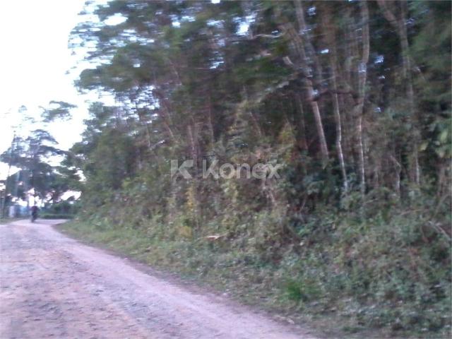 Terreno / Lote para Venda em Cotia/SP da Capelinha