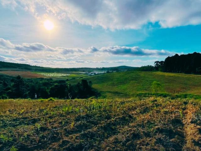 Terreno / Lote para Venda em Cotia/SP Esmeralda Park Caucaia do Alto