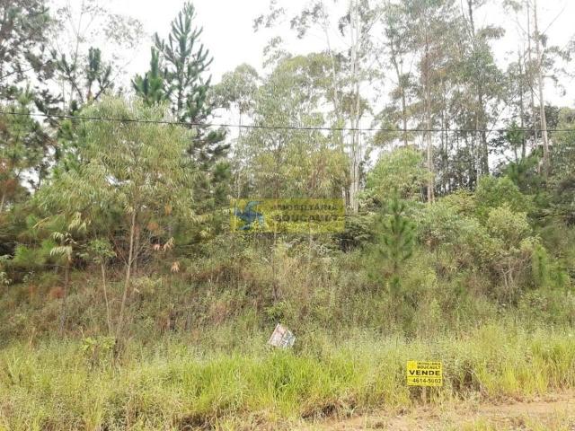Terreno / Lote para Venda em Cotia/SP Esmeralda Park Caucaia do Alto