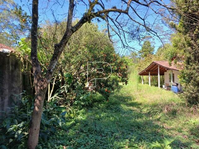 Terreno / Lote para Venda em Cotia/SP Gramado