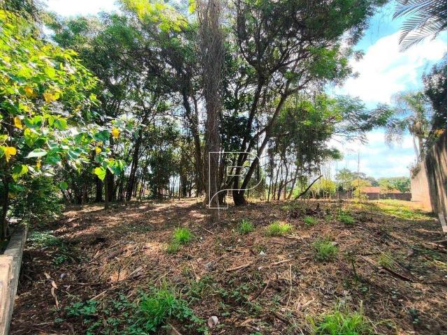 Terreno / Lote para Venda em Cotia/SP Granja Viana