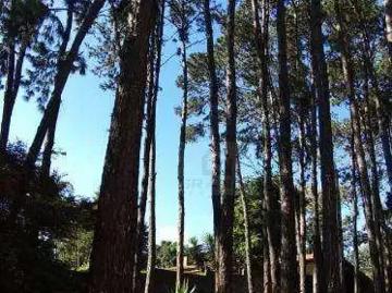 Terreno / Lote para Venda em Cotia/SP Granja Viana
