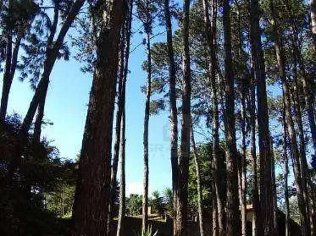 Terreno / Lote para Venda em Cotia/SP Granja Viana