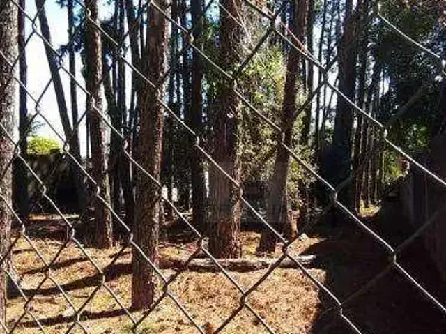 Terreno / Lote para Venda em Cotia/SP Granja Viana