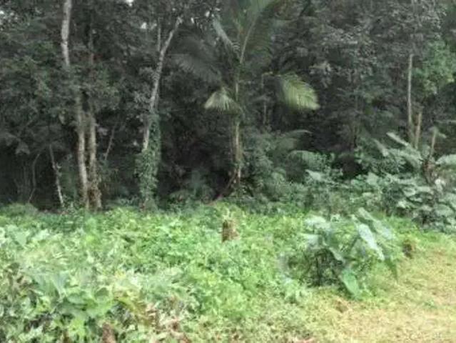Terreno / Lote para Venda em Cotia/SP Granja Viana