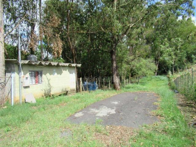 Terreno / Lote para Venda em Cotia/SP Granja Viana