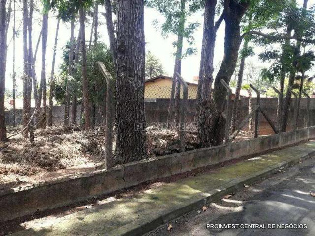 Terreno / Lote para Venda em Cotia/SP Granja Viana