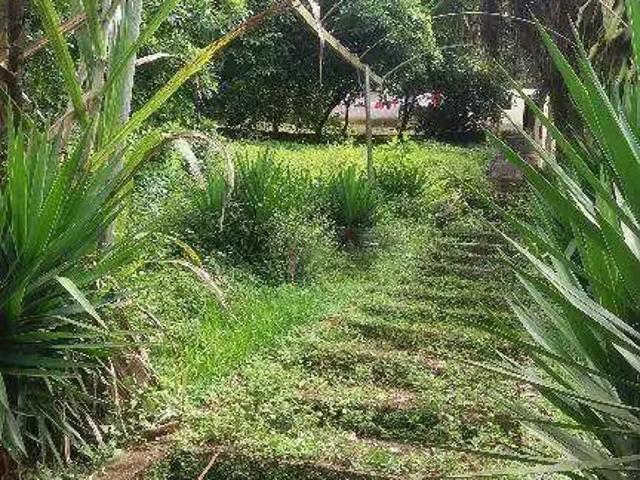 Terreno / Lote para Venda em Cotia/SP Granja Viana