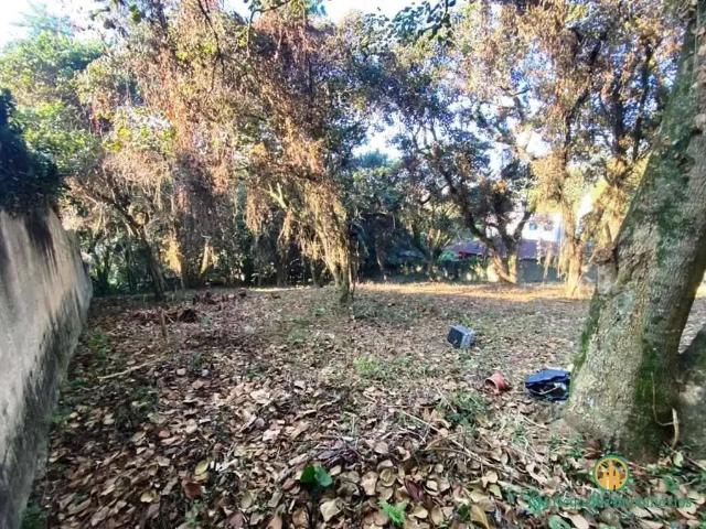 Terreno / Lote para Venda em Cotia/SP Granja Viana