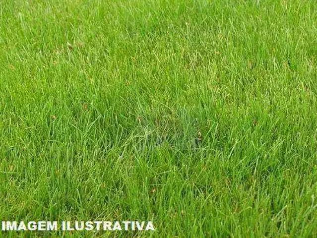 Terreno / Lote para Venda em Cotia/SP Granja Viana