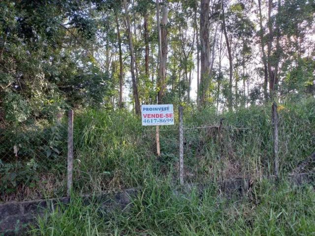 Terreno / Lote para Venda em Cotia/SP Granja Viana