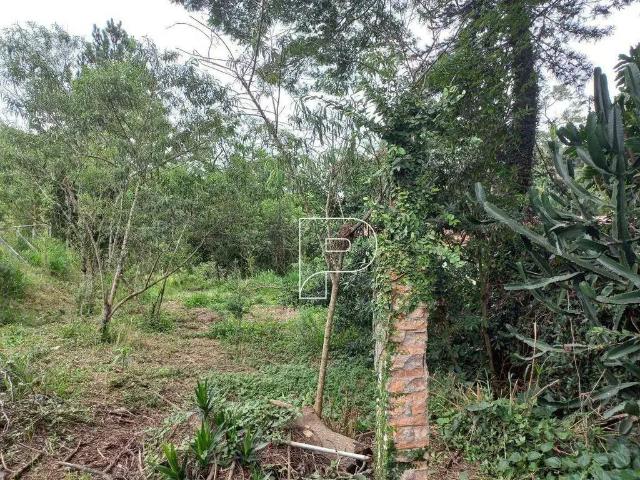 Terreno / Lote para Venda em Cotia/SP Granja Viana