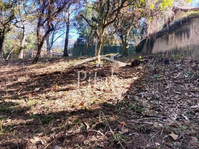 Terreno / Lote para Venda em Cotia/SP Granja Viana
