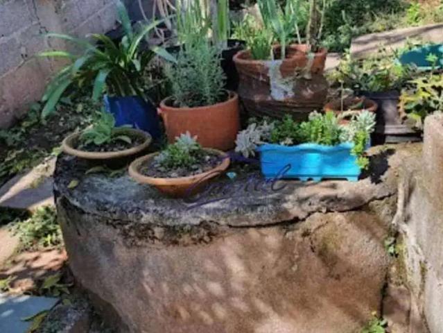 Terreno / Lote para Venda em Cotia/SP Granja Viana