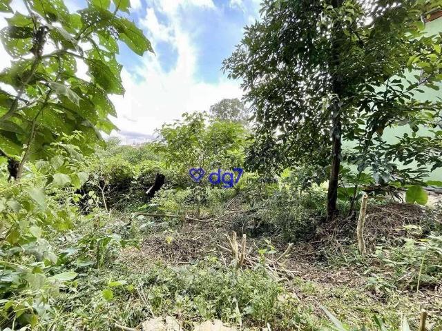 Terreno / Lote para Venda em Cotia/SP Granja Viana