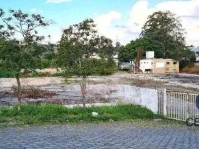 Terreno / Lote para Venda em Cotia/SP Jardim Torino