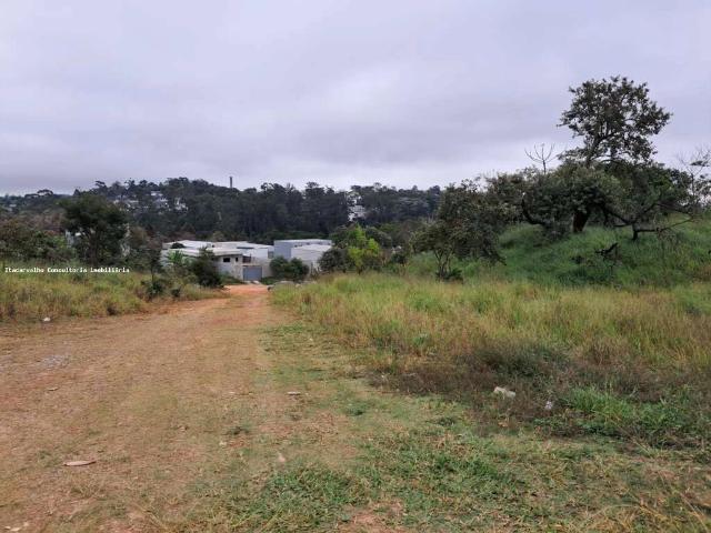 Terreno / Lote para Venda em Cotia/SP Jardim Barbacena