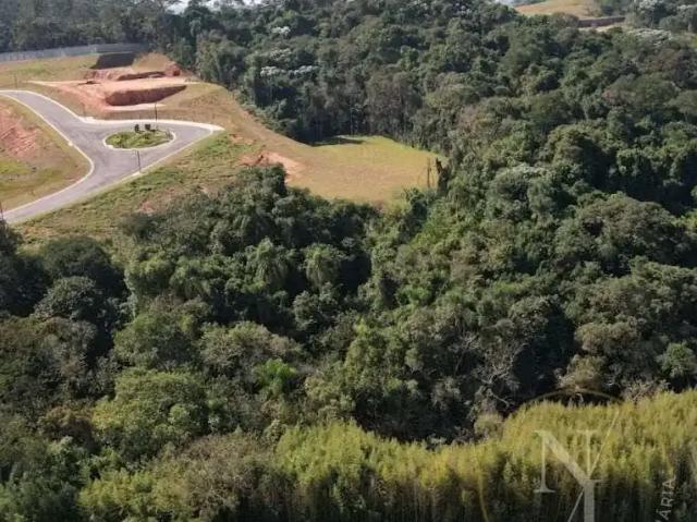 Terreno / Lote para Venda em Cotia/SP Jardim Caiapia