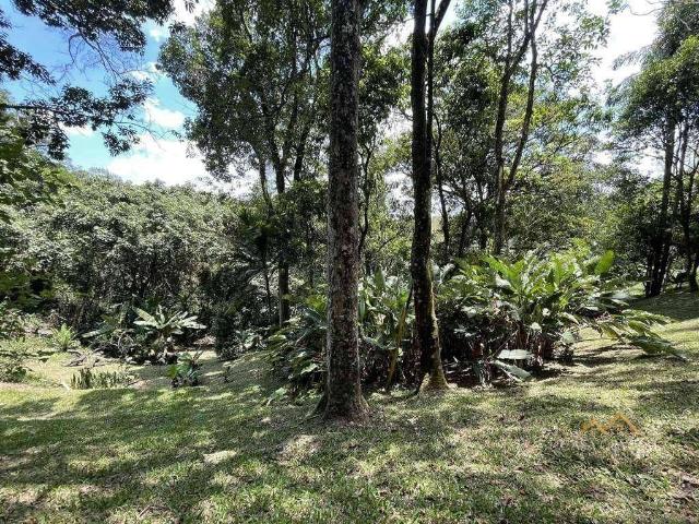 Terreno / Lote para Venda em Cotia/SP Jardim Colibri