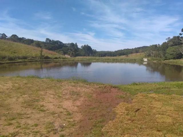 Terreno / Lote para Venda em Cotia/SP Jardim das Graças