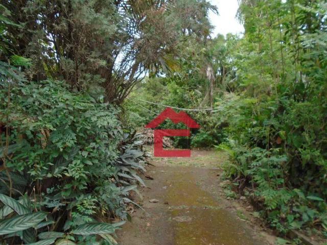 Terreno / Lote para Venda em Cotia/SP Jardim do Rio Cotia