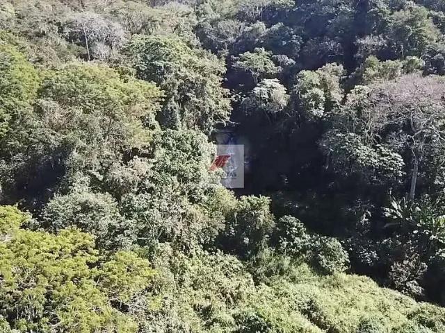 Terreno / Lote para Venda em Cotia/SP Jardim Ísis