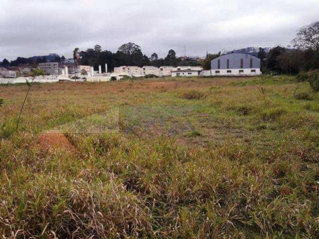 Terreno / Lote para Venda em Cotia/SP Jardim Ísis