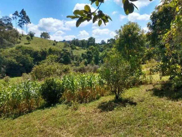 Terreno / Lote para Venda em Cotia/SP Jardim Ísis
