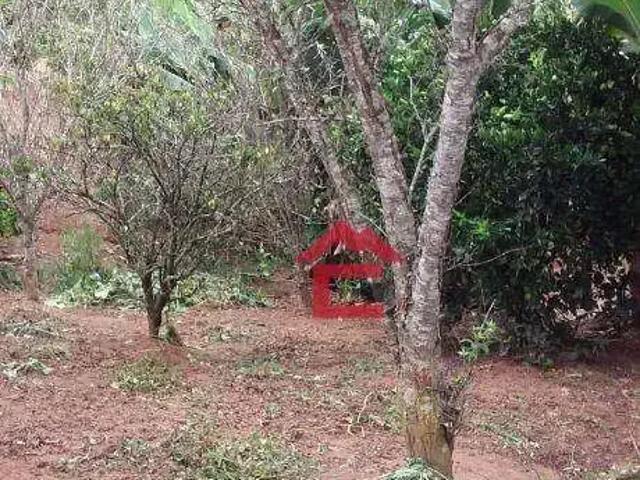 Terreno / Lote para Venda em Cotia/SP Jardim Japão Caucaia do Alto