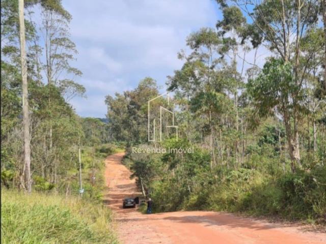 Terreno / Lote para Venda em Cotia/SP Jardim Japão Caucaia do Alto