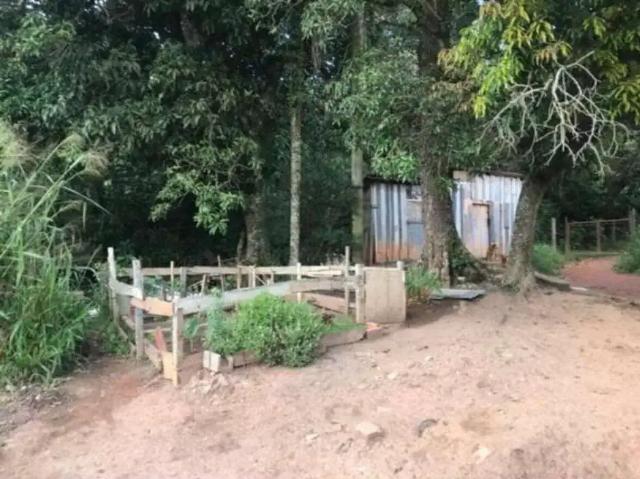 Terreno / Lote para Venda em Cotia/SP Jardim Maria Tereza