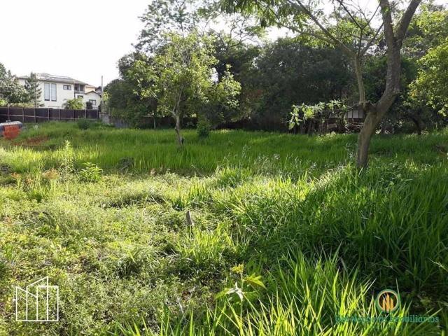 Terreno / Lote para Venda em Cotia/SP Jardim Passárgada I