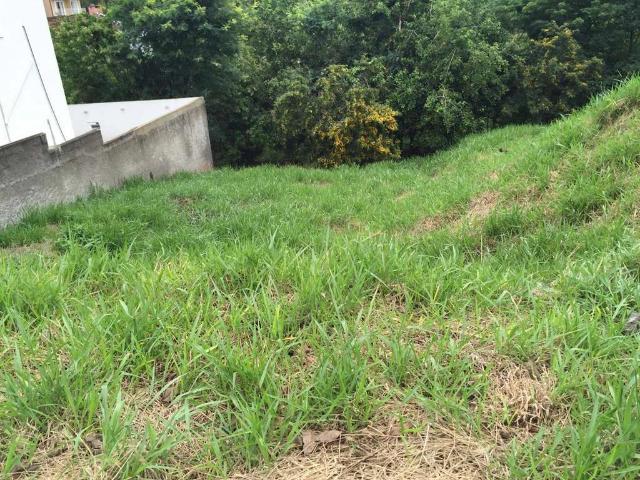 Terreno / Lote para Venda em Cotia/SP Jardim Rio das Pedras