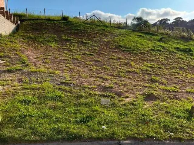 Terreno / Lote para Venda em Cotia/SP das Pedras