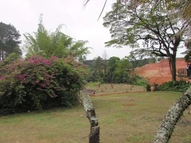Terreno / Lote para Venda em Cotia/SP Jardim São Vicente